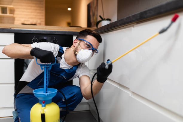 Best Affordable Exterminators  in Harrisonburg, VA