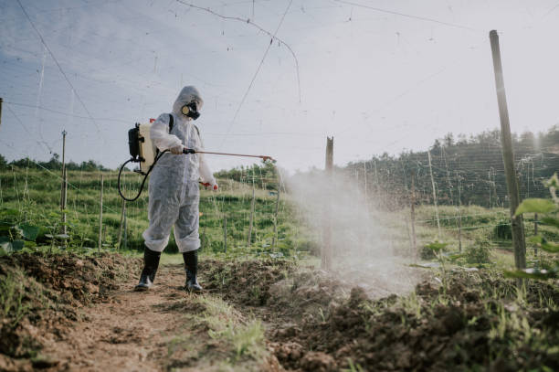 Best Best Pest Control Companies  in Harrisonburg, VA
