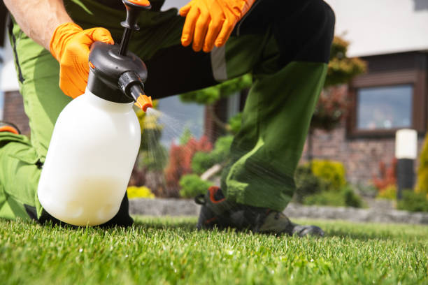 Best Rodent Control Near Me  in Harrisonburg, VA