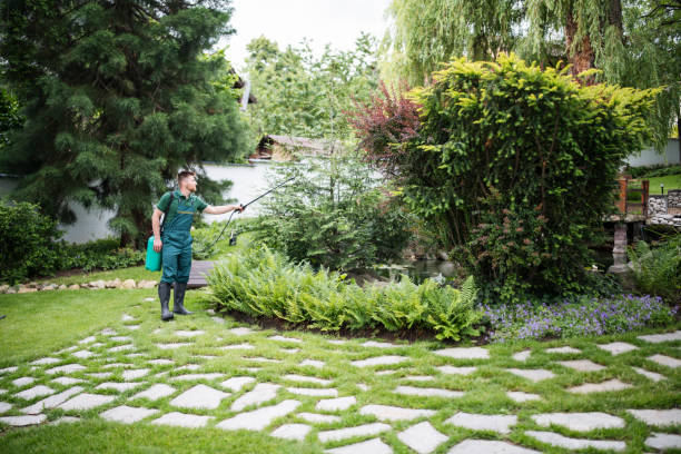 Best Best Pest Control Companies  in Harrisonburg, VA