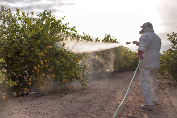 Professional Pest Control in Harrisonburg, VA