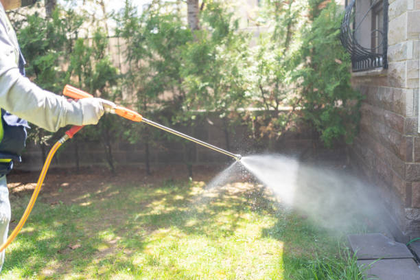 Best Emergency Pest Control  in Harrisonburg, VA