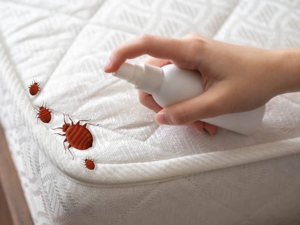Best Affordable Pest Control Services  in Harrisonburg, VA
